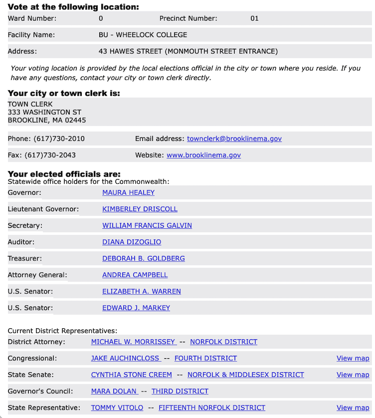 Example output showing Precinct 1 election information lookup results.